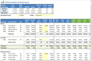 Budgeting/ Forecasting